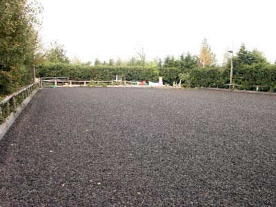 All-Weather Arena